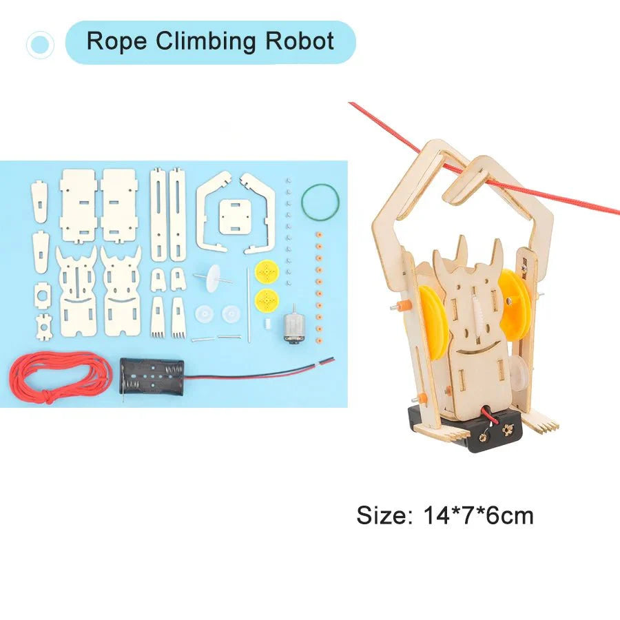 DIY Physical Model Science Experiment Kit | STEM Educational Toy for Teens