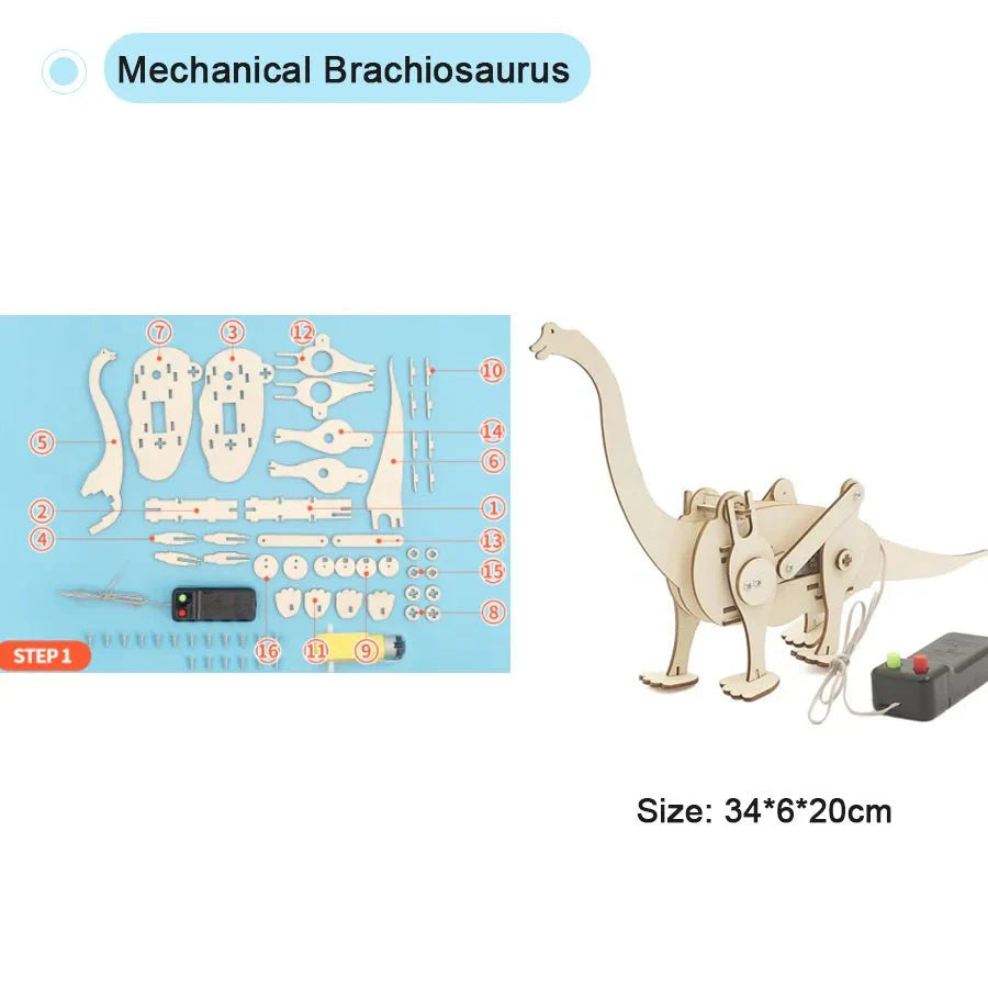 DIY Physical Model Science Experiment Kit | STEM Educational Toy for Teens
